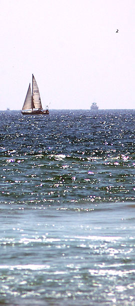 The view from the sand at Huntington Beach, Wednesday, June 21, with a sailboat and a gull, and the cool blue waters of the Pacific