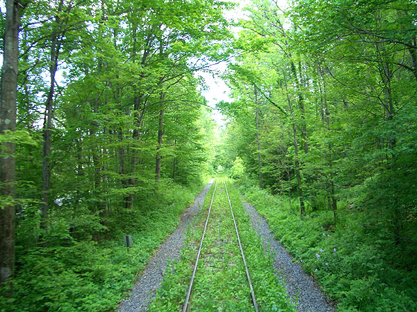 Old roadbed of the Catskill Mountain Branch Line of the long-gone Ulster and Delaware Railroad