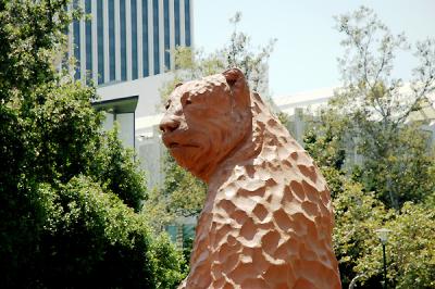 The Page Museum resident bear doesn't seem to care for the festivities...