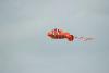 Cool kite -