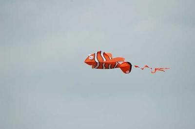 Cool kite -