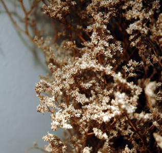 You know, dried stuff around the house is just bad <I>feng shui</I>