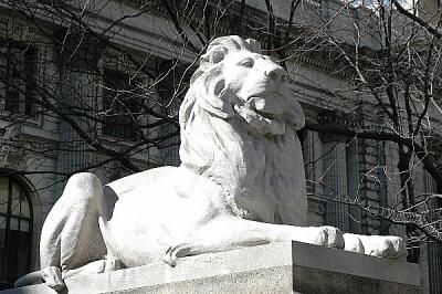 The lion at the library...