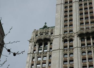 The Woolworth Building 