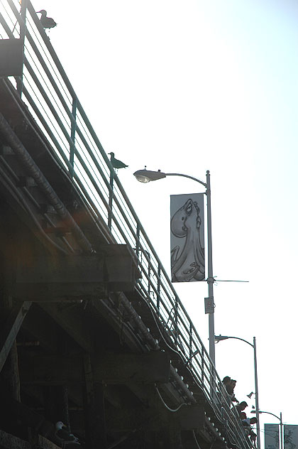 Santa Monica pier, from below