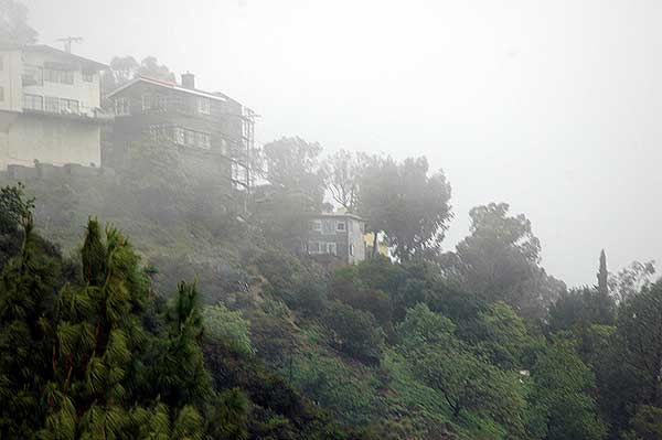 The fog and rain, Laurel Canyon, Hollywood side, Tuesday, April 4, 2006