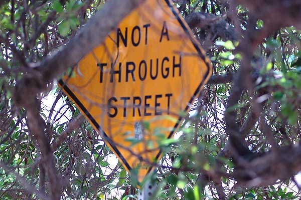 Hidden traffic sign, Playa del Rey, late April