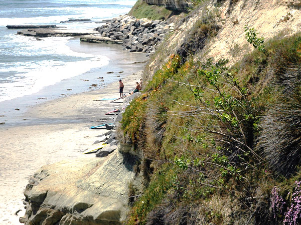 Surfers - Encinitas, California