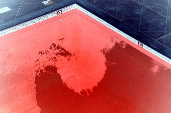 Red pool (negative image)