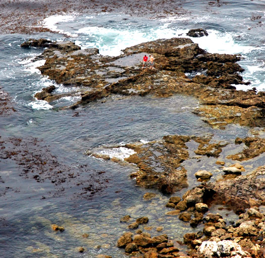 Tidal pools at Malaga Cove, a few miles south of Los Angeles International Airport 