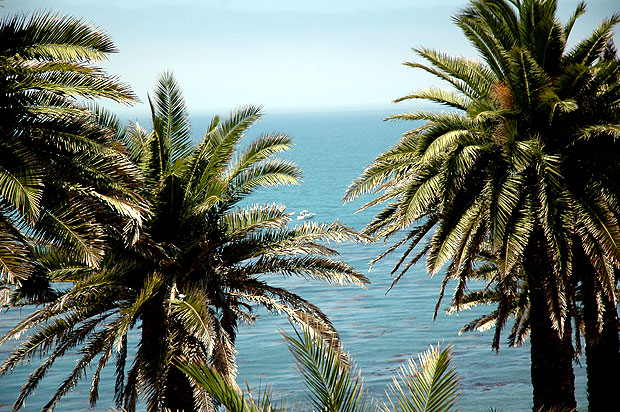 Fishing boat off San Pedro, California