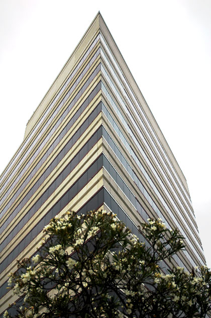 An office building at 401 Wilshire Boulevard in Santa, with a flowering tree