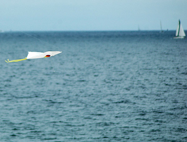 The Thirty-Second Annual Festival of the Kite - Redondo Beach at the pier, Sunday, July 30, 2006