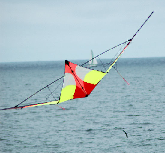 The Thirty-Second Annual Festival of the Kite - Redondo Beach at the pier, Sunday, July 30, 2006