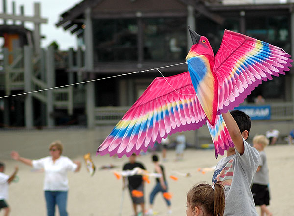 The Thirty-Second Annual Festival of the Kite, Redondo Beach, California, Sunday, July 30, 2006