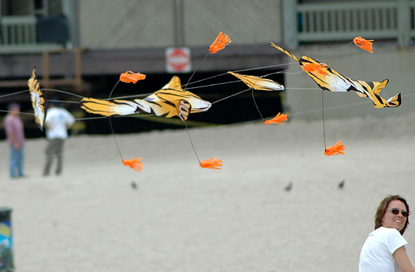 The Thirty-Second Annual Festival of the Kite, Redondo Beach, California, Sunday, July 30, 2006