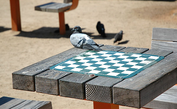 Santa Monica International Chess Park, just off the sand, south of the pier and its amusement park…