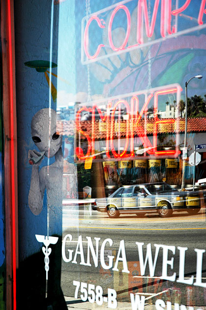 Window of a head shop on Sunset Boulevard, Hollywood