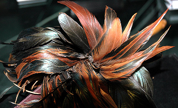 Abstract - Browns, Feathers