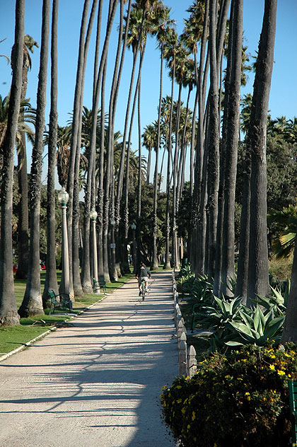 Bicyclist, Palisades Park, Santa Monica