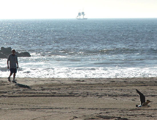 Tall ships passing Venice Beach