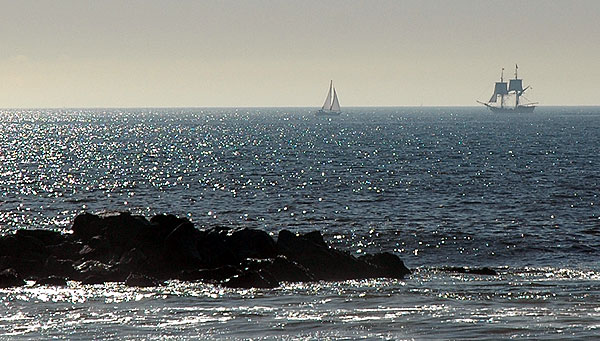 Tall ships passing Venice Beach