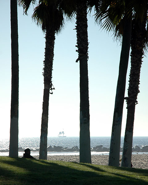 Tall ships passing Venice Beach