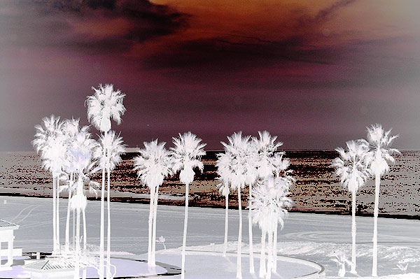 Beach scene, negative print, at the end of the north runway at LAX (Los Angeles International Airport)