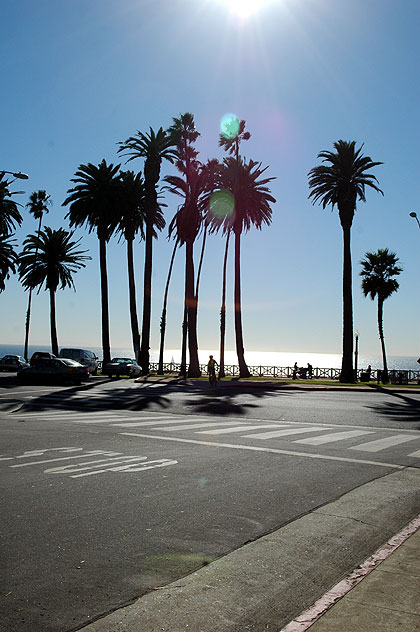 Washington at Ocean Avenue, Santa Monica - winter sun