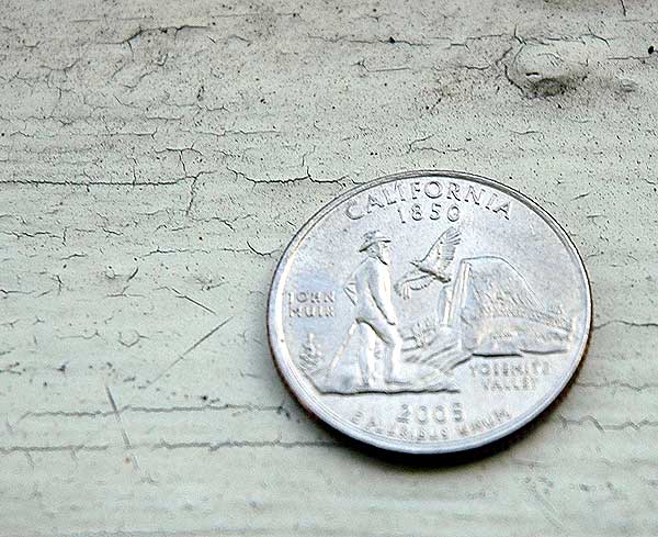 The new California quarter on the windowsill, close-up.