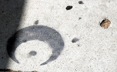 Sidewalk mysteries -
