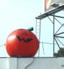 On top of a Halloween emporium on Westwood Boulevard -