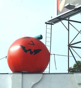 On top of a Halloween emporium on Westwood Boulevard -