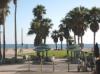 Establishing shot: Venice Beach 
