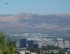 The inland end of the canyon, also in flight, a red tail hawk motionless over Woodland Hills - 