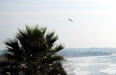 Bonus - Christmas Day at the Coast (Encinitas) -